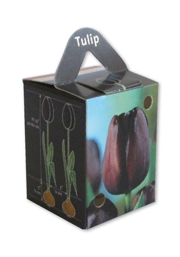 doosje voor een bloembol bol van tulp met opdruk in full color Tas tulpendoos 40x40x55.